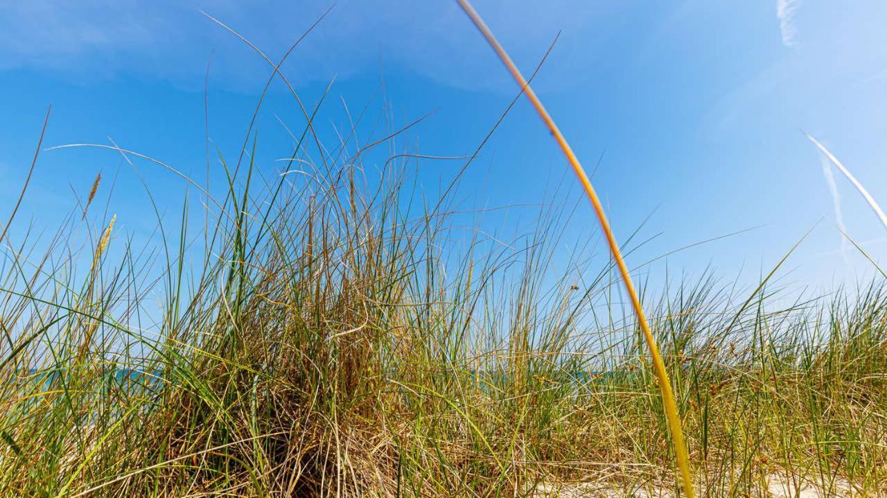 Apartment Strandurlaub Rügen Lütt Oskar Ostseebad Binz